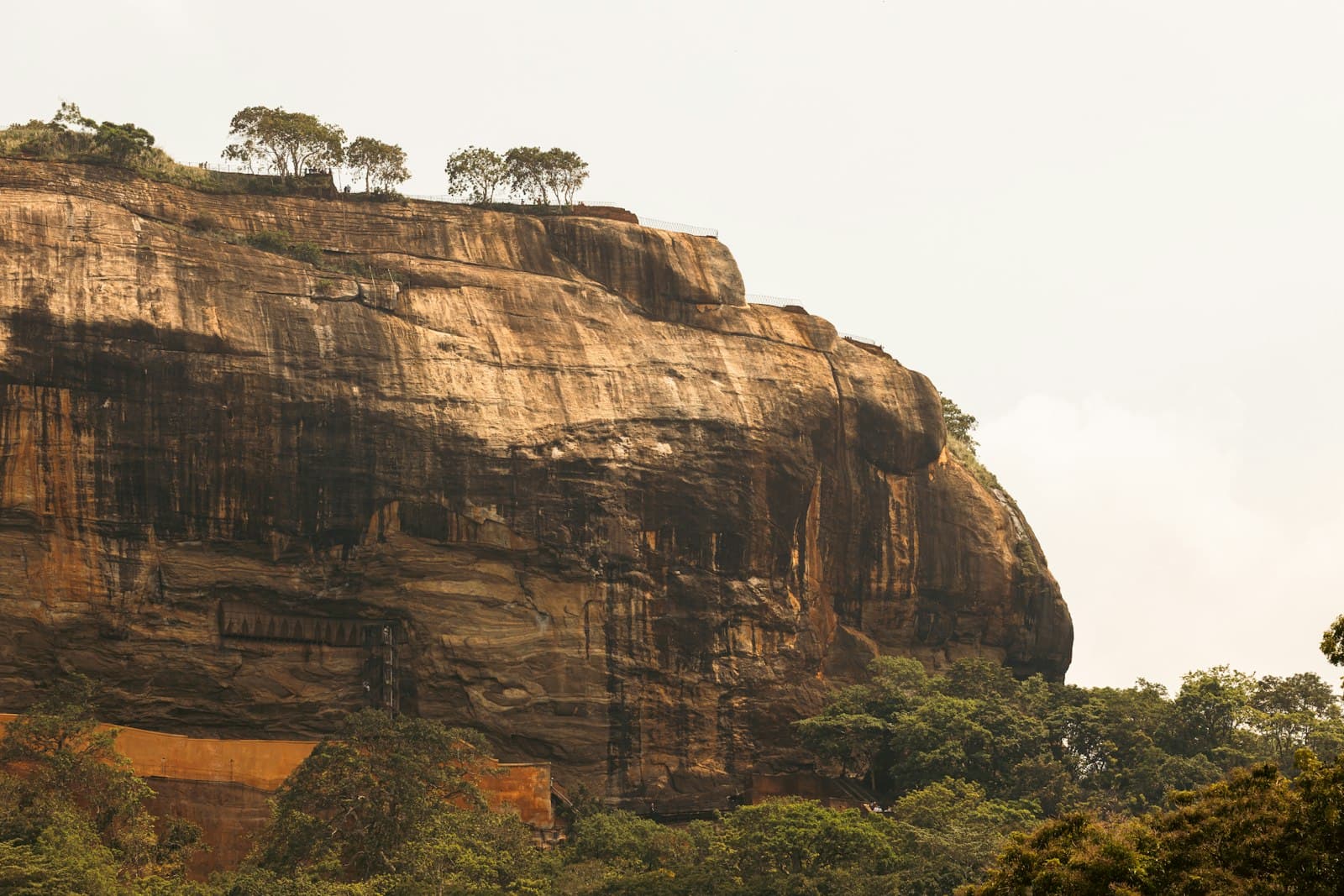 Sigiriya Rock Fortress, Sri Lanka — ancient rock citadel with sheer cliff walls rising above the surrounding forest